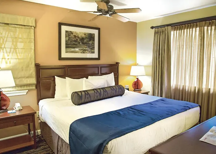 Holiday home Wyndham Eight 8br